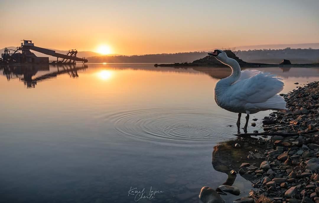 Domki Nad Jeziorem Zarzecze  Bagian luar foto